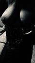 Shadow, foto 750x1334, 24 reacties, 97 stemmen