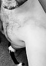 Showing tail ;), foto 1409x1989, 1 reacties, 8 stemmen