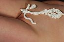 Slagroom, foto 510x340, 2 reacties, 8 stemmen