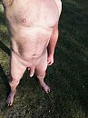 Slap en soepel, foto 3000x4000, 2 reacties, 9 stemmen