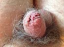 Slaperig, foto 2592x1936, 3 reacties, 7 stemmen