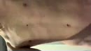 Slow reveal, film 00:00:00, 7 reacties, 17 stemmen