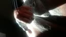So  horny, film 00:00:19, 0 reacties, 6 stemmen