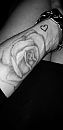 Soms toch echt wel een dame!, foto 1944x4000, 8 reacties, 121 stemmen