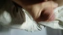 Spaans stel, film 00:00:00, 3 reacties, 42 stemmen