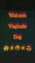 Speels met elkaar, film 00:00:00, 3 reacties, 22 stemmen