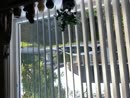Spelen, lek, film 00:00:00, 2 reacties, 2 stemmen