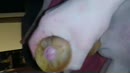 Spermaaaaaa, film 00:00:19, 2 reacties, 5 stemmen