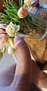 Spring is coming, foto 1835x3526, 0 reacties, 2 stemmen