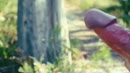 Spring, film 00:00:00, 18 reacties, 50 stemmen