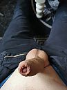 Stijve, foto 2736x3648, 6 reacties, 8 stemmen