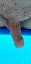 Straks zwemmen, foto 1944x4000, 0 reacties, 2 stemmen