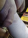 Super dick, foto 2448x3264, 0 reacties, 5 stemmen