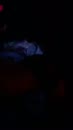 Surinamboi gives her doggy, film 00:00:00, 1 reacties, 34 stemmen