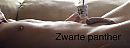 The sun is shining, foto 2971x1113, 3 reacties, 5 stemmen