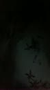 Too dark. But listen as her d, film 00:00:19, 0 reacties, 10 stemmen