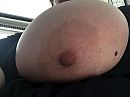 Uiers, foto 1280x960, 6 reacties, 24 stemmen