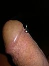 Van heeeeeel, foto 3000x4000, 1 reacties, 4 stemmen