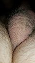 Vandaag geil wakker geworden, foto 2250x4000, 0 reacties, 0 stemmen