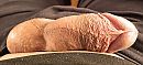 Vanmorgen vroeg, foto 1500x685, 0 reacties, 4 stemmen