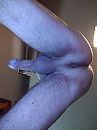 Vanonderen, foto 2448x3264, 1 reacties, 13 stemmen