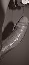 Versoepelen, foto 463x1016, 4 reacties, 9 stemmen