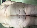 Verzoekjes, foto 1280x960, 11 reacties, 29 stemmen