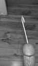 Volgende keer over jou heen?, foto 750x1296, 1 reacties, 7 stemmen