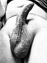 Volle ballen……, foto 960x1280, 7 reacties, 18 stemmen