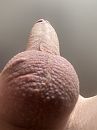 Volle kale zak, foto 2316x3088, 4 reacties, 7 stemmen