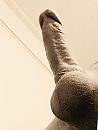 Volle zak, foto 1011x1328, 1 reacties, 7 stemmen