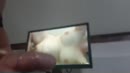Voor Voyeurlovestel, film 00:00:25, 3 reacties, 6 stemmen