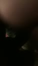 Voor het slapen gaan 2, film 00:00:12, 1 reacties, 20 stemmen