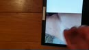 Voor rikkie11, film 00:00:00, 2 reacties, 5 stemmen