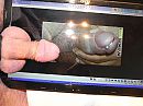 Voor Hotlove001, foto 2592x1944, 0 reacties, 1 stemmen