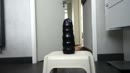 WAD Cosmic Crash dildo, film 00:00:00, 5 reacties, 26 stemmen