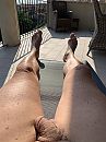 WERKVAKANTIE IN ITALIË, foto 3000x4000, 0 reacties, 11 stemmen