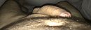 Wakker worden, foto 3144x1067, 0 reacties, 3 stemmen