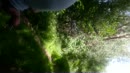 Walking in nature, film 00:00:15, 1 reacties, 8 stemmen