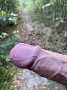 Wandeling, foto 3000x4000, 0 reacties, 18 stemmen