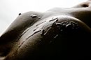 Warm zaad van de fotograaf.., foto 1250x833, 12 reacties, 56 stemmen