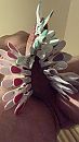 Wasknijpers 2, foto 2058x3656, 3 reacties, 5 stemmen