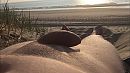 Wat is de natuur toch mooi., foto 1334x750, 0 reacties, 6 stemmen