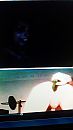 Webcammen, foto 2250x4000, 0 reacties, 1 stemmen