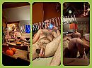Wellness, foto 800x600, 11 reacties, 95 stemmen