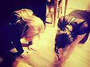 When My slavegirls.., foto 2304x1728, 8 reacties, 74 stemmen