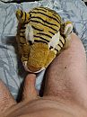 Who's gonna be my tiger...., foto 540x720, 3 reacties, 4 stemmen