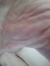 Wide open Finger fucked, film 00:00:22, 1 reacties, 9 stemmen