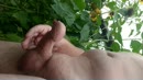 Wie speelt mee, film 00:00:00, 3 reacties, 16 stemmen