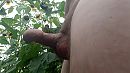 Wie wil hem, foto 4000x2250, 1 reacties, 6 stemmen